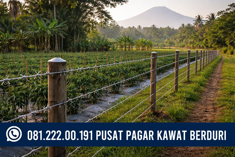 HARGA KAWAT PAGAR KEBUN BOJONEGORO - Murah & Ready Stok 2025